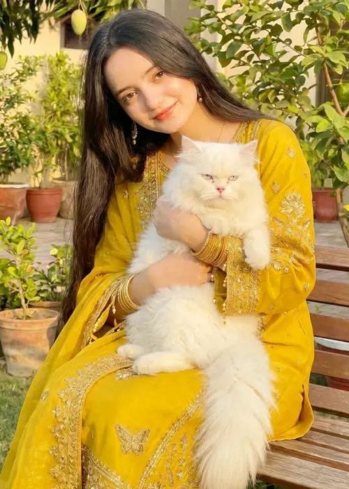 Female Escorts in Lahore